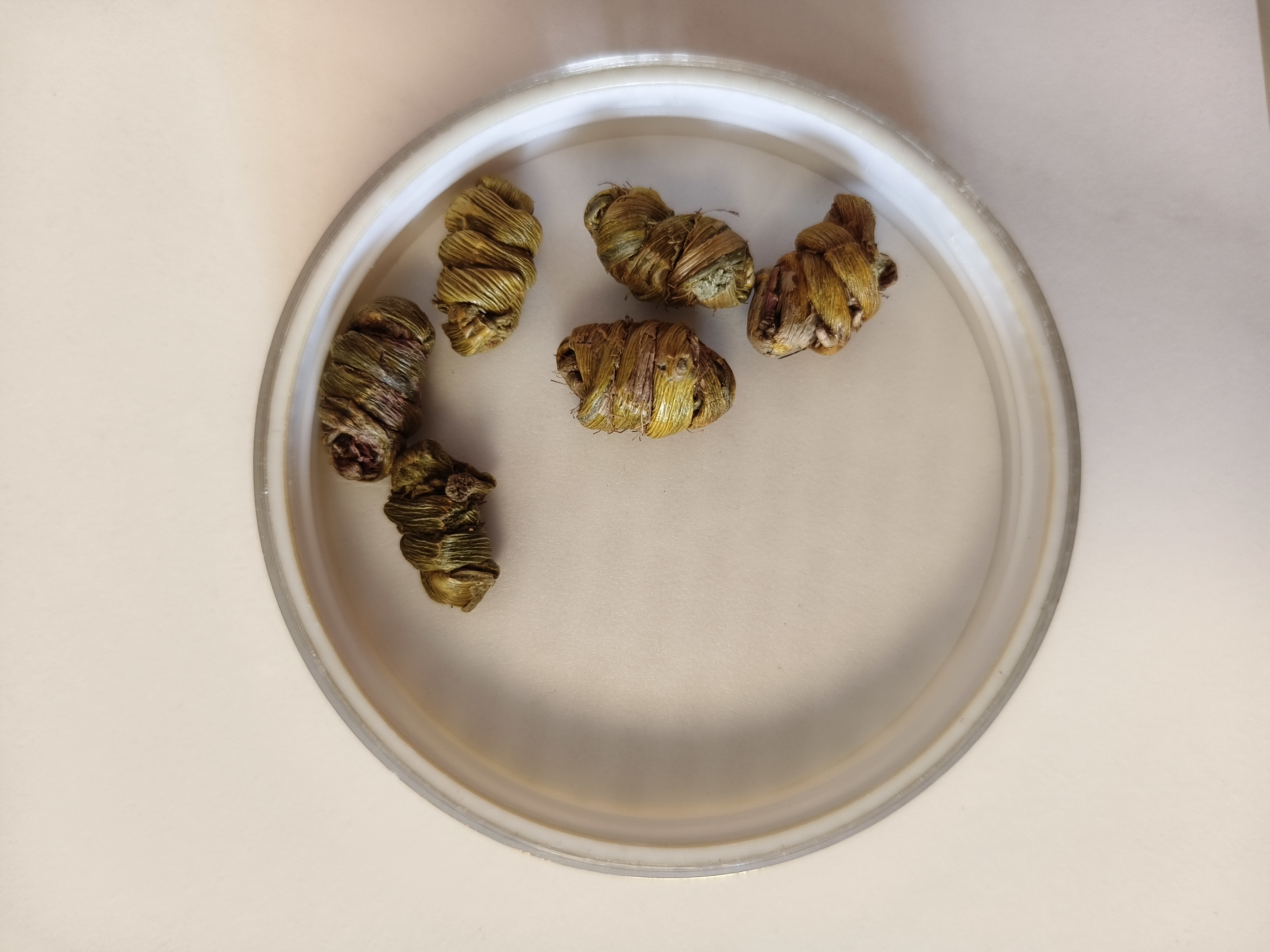 公和堂霍山铁皮石斛400g磨石斛粉石斛米斛茶滋补送长辈礼物礼盒 实拍图