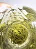 乐品乐茶毛尖茶叶特级明前春茶嫩芽2026新茶绿茶礼盒装250g自己喝中秋送礼 实拍图