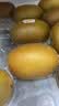 佳沛（zespri）新西兰金奇异果22粒巨大原箱146-175g猕猴桃中秋节礼品送水果礼盒 实拍图