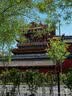 【免预约】京津冀盘山多景区联票年卡电子卡旅游门票一卡通3套方案通票野生动物园北京市内周边旅行 2027畅游卡：109景区至27年底 实拍图