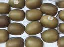 佳沛（zespri）新西兰金奇异果22粒巨大原箱146-175g猕猴桃中秋节礼品送水果礼盒 实拍图