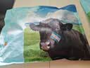 春禾秋牧 阿根廷安格斯原切上脑牛排1kg/5片 牛肉生鲜 火锅烧烤炒菜食材 实拍图