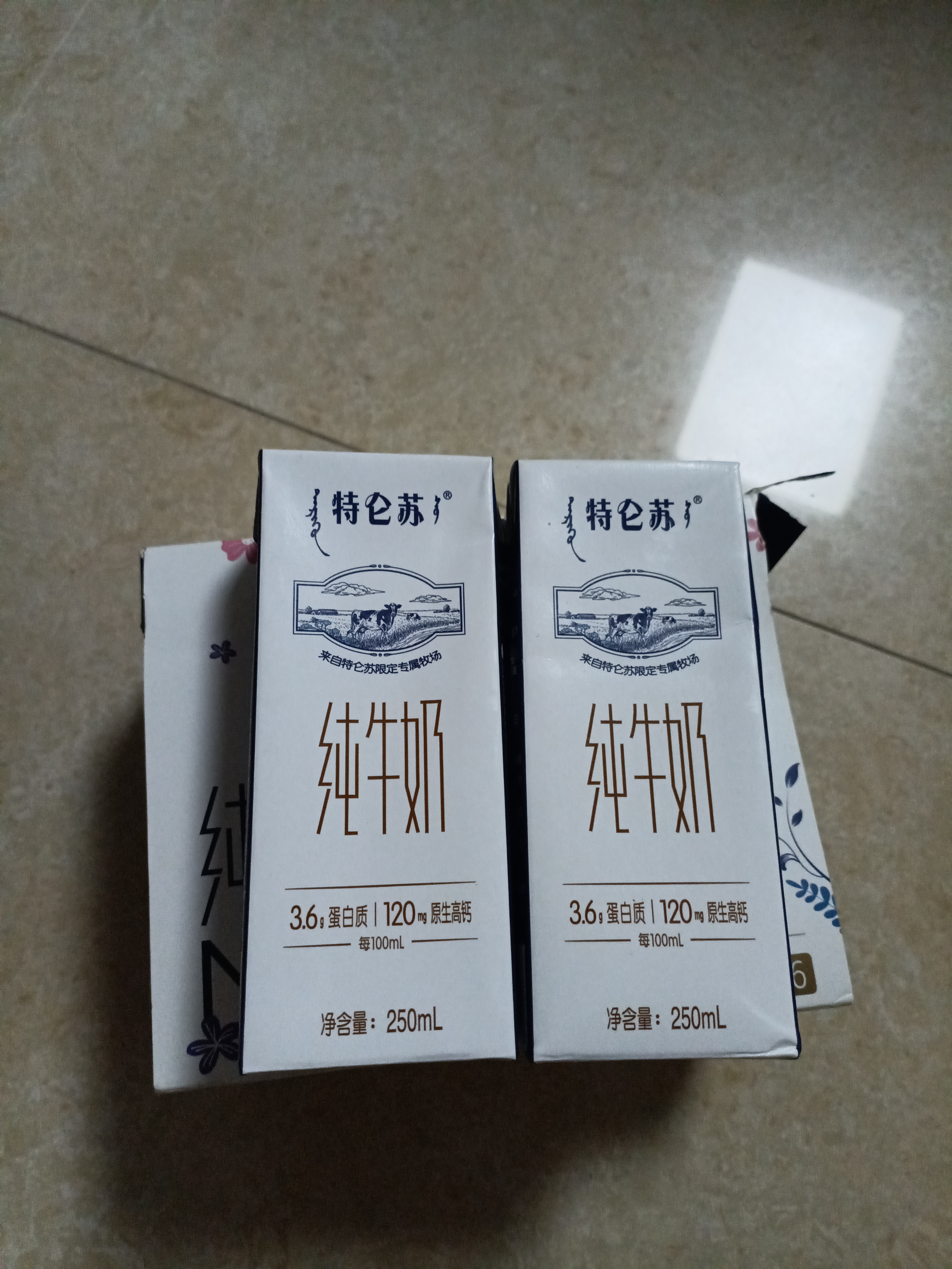 蒙牛特仑苏纯牛奶250ml*6盒 3.6g乳蛋白 尝鲜试用装 送礼盒装 实拍图