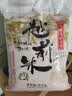 越前奶色姬品种大米5kg*1包 寿司米饭团米 东北东港产区 10斤 实拍图