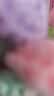 三彩熊小狗玩偶花束向日葵永生花女生送闺蜜生日礼物女士中秋节伴手礼 实拍图
