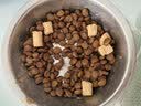 网易严选鲜鸡肉猫粮生骨肉配方宠物主粮幼猫成猫主食级冻干全阶段无谷粮 【4袋装】鲜鸡肉猫粮12斤 实拍图
