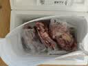 春禾秋牧 澳洲安格斯牛肉牛排套餐生鲜礼盒4.2斤 可定制送礼佳品 源头直发 实拍图