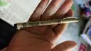 樱花（SAKURA）针管笔勾线笔 08号黑色0.50mm PIGMA笔酷马进口防水绘图笔水笔学生儿童美术绘画手绘漫画动漫设计 实拍图