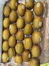佳沛（zespri）金奇异果25-27粒原箱特大果124-146g猕猴桃中秋节礼品送水果礼盒 实拍图