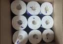 维达（Vinda）有芯卷纸 蓝色经典4层200克*27卷 山茶花香 卫生纸卷筒纸纸巾整箱 实拍图