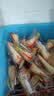 泡吧 冰淇淋蛋糕整箱1kg  办公室早餐小点心 休闲面包零食 香草鸡蛋味 实拍图