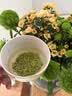 恩施玉露绿茶2026新茶特级100g头采富硒产区湖北特产蒸青冷泡茶叶自己喝 实拍图