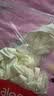 浪莎冰丝内裤女超薄款裸感面膜裤头4条透气少女速干无痕短裤头 实拍图