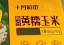 十月稻田 黄糯6cm玉米段 8段 共1.6斤 东北杂粮粗粮 低脂早餐 火锅食材 实拍图