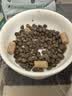LEGENDSANDY蓝氏猎鸟乳鸽生骨肉冻干猫粮 全价成猫幼猫猫粮1.5kg 实拍图