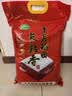 十月稻田 长粒香大米 10斤（东北大米 香米 5kg/公斤） 实拍图