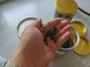 小叶苦丁茶特级2026嫩芽正宗贵州苦丁新茶叶降i血压血糖泡水喝 【持续清润 四季状态在线】 125g*3罐 实拍图