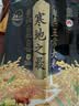 十月稻田 寒地之最 绿色食品 五常大米 10斤（东北大米 香米 5kg/公斤） 实拍图