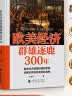 【正版包邮】欧美经济群雄逐鹿300年 王东京 作品 危机之下 国家如何自救 兴衰背后的权利博弈 国家脱困的案例手册 西方世界经济简史 华景时代 当当官方旗舰店 世界经济图书 欧美经济群雄逐鹿300年 晒单实拍图