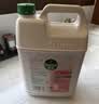 滴露（Dettol）洗手液补充装大桶消毒滋润5L 儿童家庭装杀菌护手 实拍图