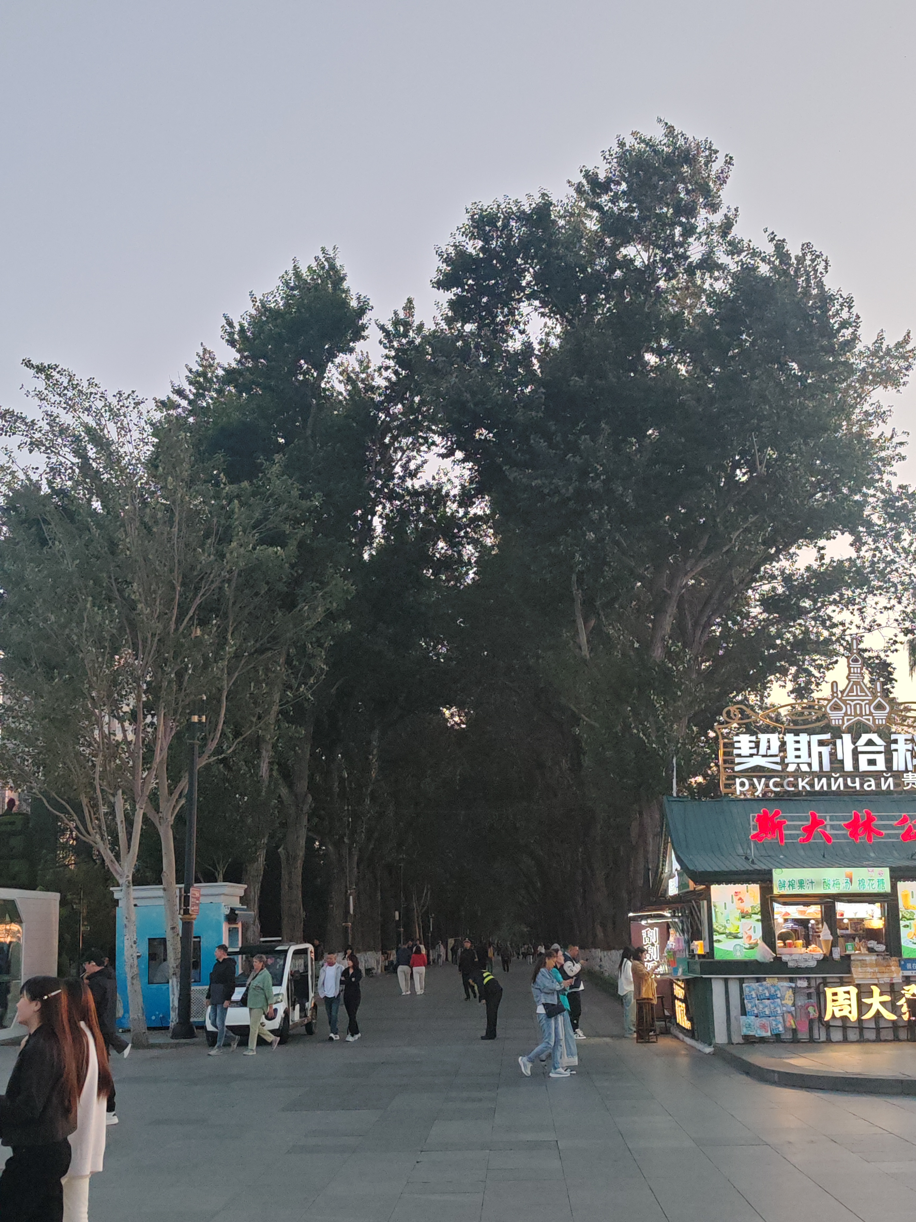 李宁（LI-NING）运动护膝儿童篮球夏天用跑步防摔髌骨过膝护腿套男足球膝盖装备 实拍图