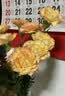 单头康乃馨随机色10枝（花苞发货） 教师节礼物送老师 实拍图