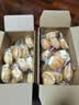 三只松鼠0蔗糖水牛乳手撕面包1kg 早餐面包营养饱腹代餐蛋糕糕点 实拍图