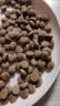 鲜朗主食猫条磷虾三文鱼油营养全价成猫幼猫湿粮无添加非零食补水湿粮 鸡肉味【12g/支】 12支【尝鲜装】 实拍图