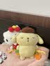 澳贝（auby）婴幼儿玩具布丁狗安抚玩偶新生儿可啃咬毛绒手偶满月礼物宝宝哄睡 实拍图