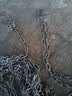 米奇特工（AGENTS MICKEY） 304不锈钢链条 起重链栏杆链吊灯链装饰隔断钢链  1.5mm 5米 【京仓配送】 实拍图