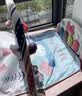 babycare婴儿健身架脚踏钢琴0-1岁新生儿见面礼物宝宝安抚玩具多布拉兔子 实拍图