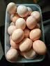 【生鲜严选】豫北正宗农家富硒鸡蛋彩箱50g±5g*30枚 富硒鸡蛋30枚 实拍图