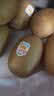 佳沛（zespri）新西兰金奇异果16粒经典果88-103g猕猴桃中秋节礼品送水果礼盒 实拍图