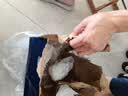 珠江啤酒（PEARL RIVER）12.3度 珠江1985啤酒 640ml*12瓶 整箱装 京东自营【国企品质】 实拍图