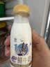 每日鲜语A2β-酪蛋白鲜牛奶185ml*6瓶定期购定期配送到家 实拍图