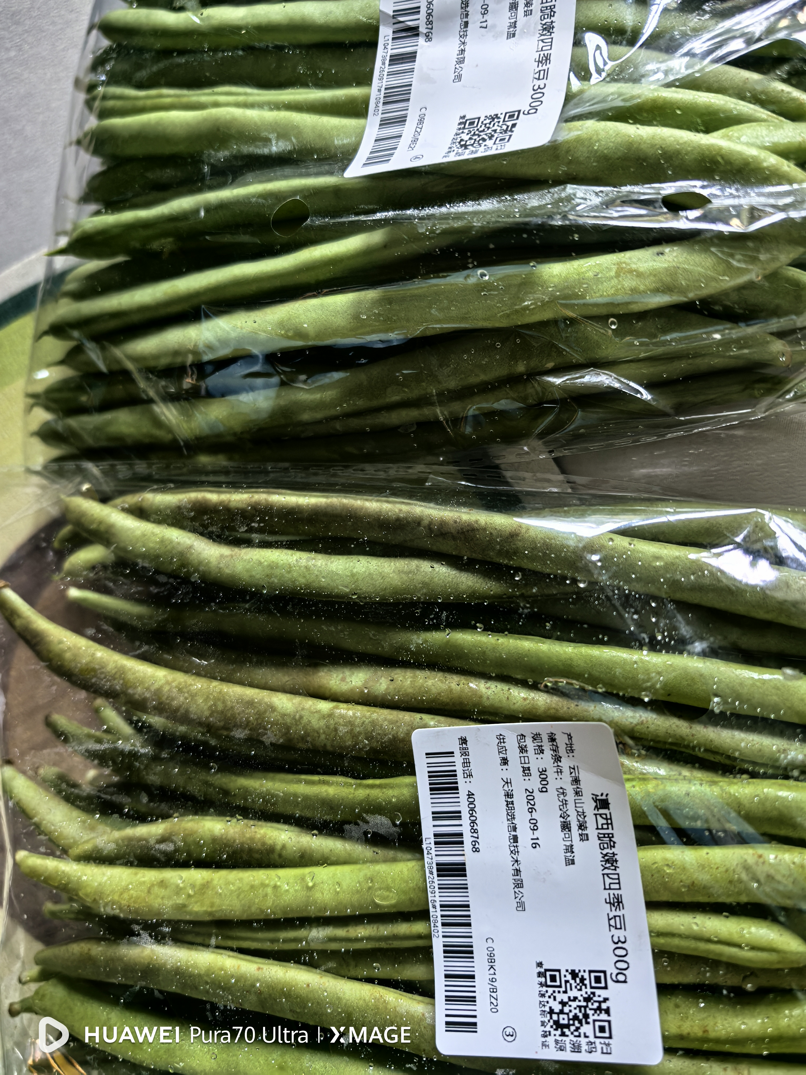 四季豆300g(架豆） 实拍图