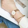 丹尼尔惠灵顿（DanielWellington）[马思纯同款]dw手镯女星辰玫瑰金小号手镯情侣款531生日礼物 实拍图