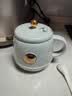 乐扣乐扣养生杯烧水杯 电煮杯电热水杯加热水杯迷你养生壶热奶杯电炖杯旅行户外EJC3125GRN 实拍图
