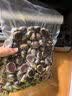 佳帮手大型商用双泵款抽真空封口机大吸力抽真空压缩机抽液体食材真空包装机食品塑封全自动密封机 实拍图