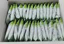 威廉姆斯小镇（WILLIAMS TOWN）有机高蛋白燕麦片2.1kg(60×35g) 2.1kg(60×35g) 实拍图