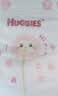 好奇（Huggies）铂金装小桃裤纸尿裤L76片(9-14kg)大号尿不湿【散热口碑王】 实拍图