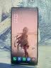 努比亚（nubia）Z80 Ultra 真全面屏 第五代骁龙8至尊版 红魔同款游戏引擎 16+512 魅影黑 5G游戏AI手机 国家补贴 实拍图