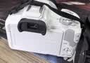 佳能（Canon）EOS R50 小型便捷微单数码相机 4K Vlog高清视频家用旅游美颜照相机 18-45mm套机 白 摄影进阶套装 实拍图