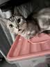 pidan猫砂 豆腐猫砂2.4kg*6包强力吸臭纯猫砂 可冲厕所非膨润土砂 实拍图