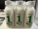 晨光供港鲜奶230ml*3瓶 巴氏杀菌低温鲜牛奶 家庭装 实拍图