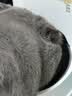 阿飞和巴弟【新品】E76益生菌猫粮养胃生骨肉冻干改善口腔成幼猫粮2kg 实拍图