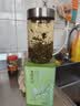 春上早茉莉花茶  2026新茶特级飘雪浓香型毛尖茶叶四川花茶送礼礼盒250g 实拍图