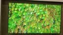 康佳电视100英寸1080分区MiniLED 4+128GB超大内存类纸屏电视机 330Hz高刷 100G9W一级能效国家补贴 实拍图