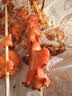 大希地鸡肉串鸡软骨串烧烤2斤 冷冻鸡脆骨串 油炸小吃空气炸锅 烧烤食材 实拍图