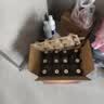 汾酒53度黄盖玻汾 清香型高度白酒 口粮酒 纯粮名酒 中秋礼品 53度 475mL 12瓶 整箱原箱装 口粮酒 实拍图